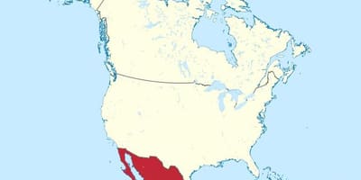 Messico e america mappa