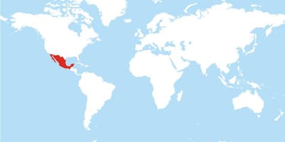 Mappa del Messico globale