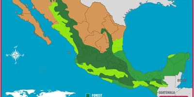 Mappa del Messico foreste