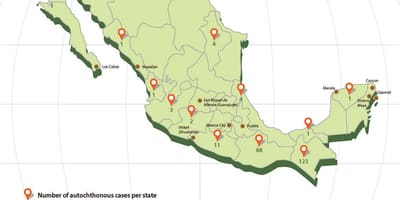 Zika Messico mappa